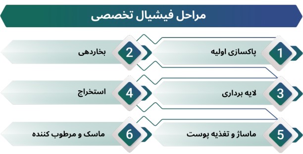 اینفوگرافی فیشیال تخصصی